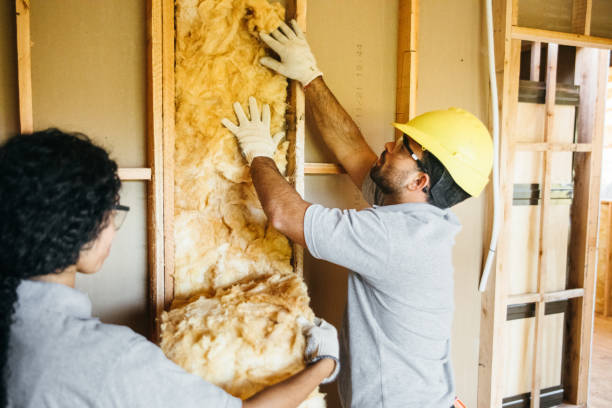 Best Energy-efficient Insulation  in Mount Healthy Heights, OH